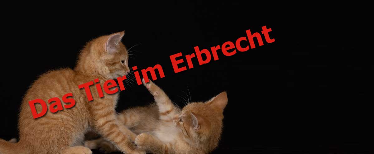 Das Tier im Erbrecht