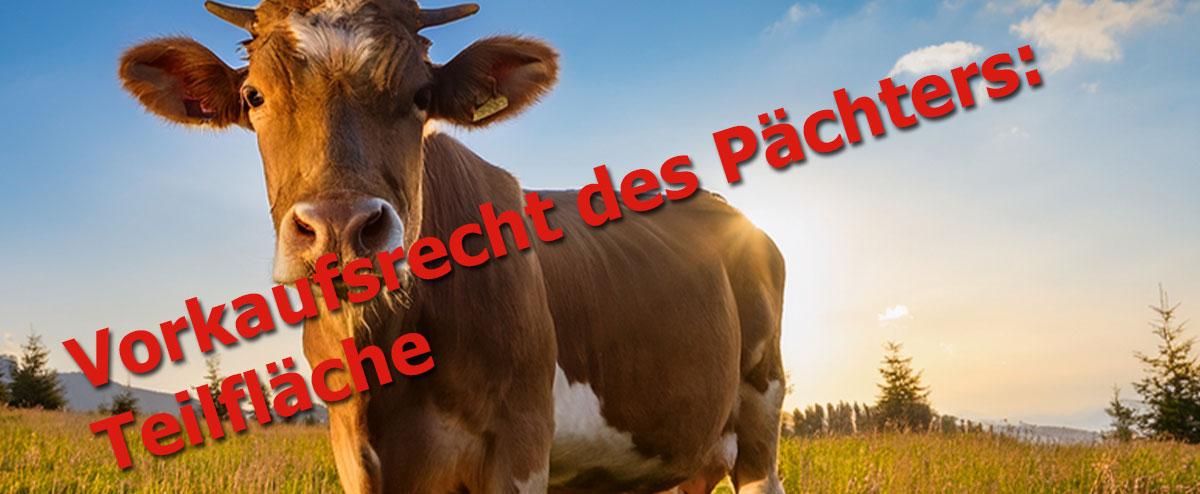 Vorkaufsrecht des Pächters: Teilfläche